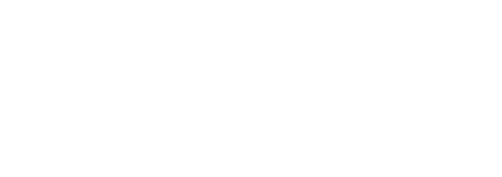 Job description